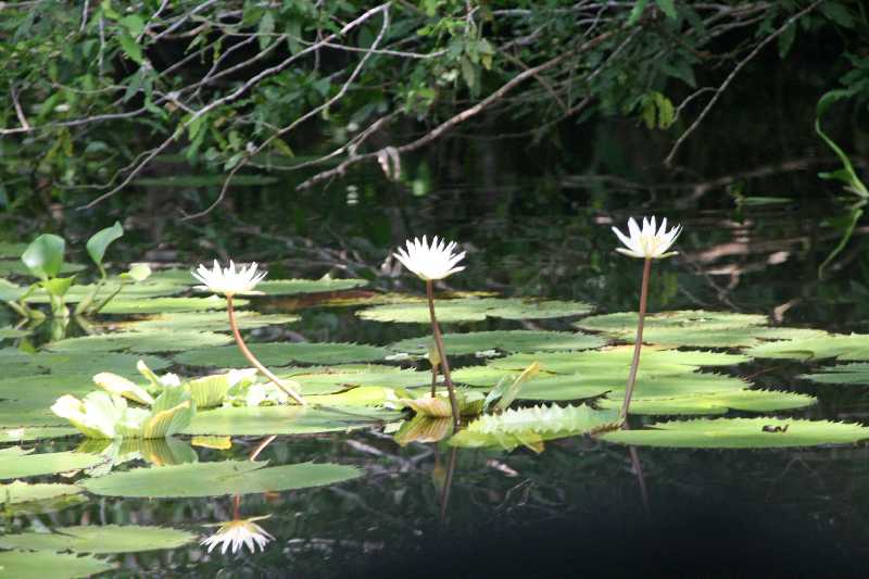 Mexico & Guatemala 2010 - 0959